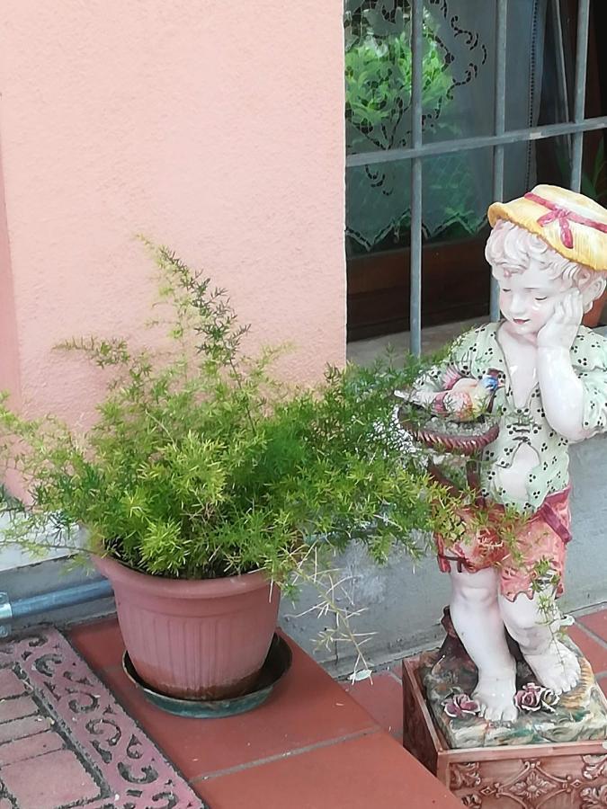 Villa Giuliana Vigonza Esterno foto