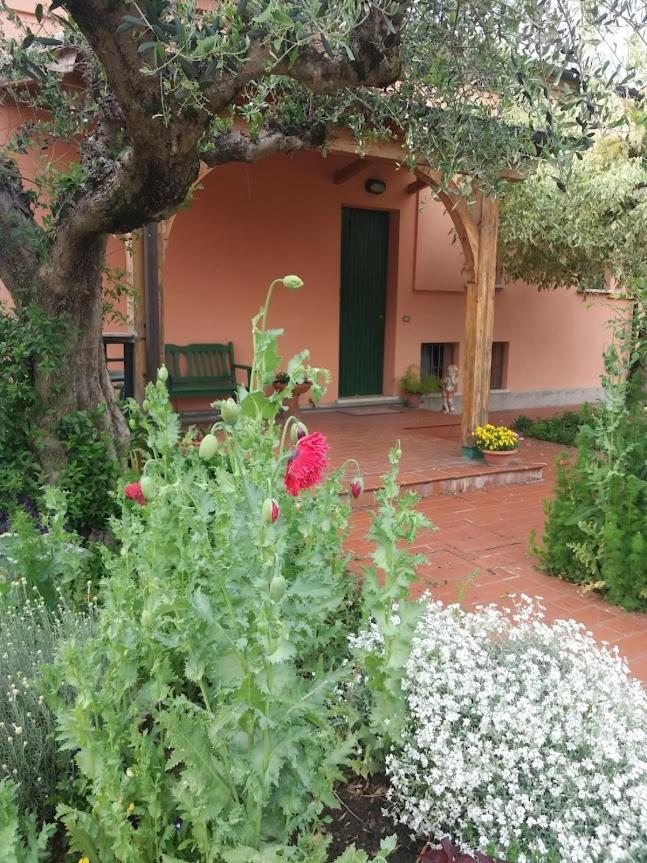 Villa Giuliana Vigonza Esterno foto